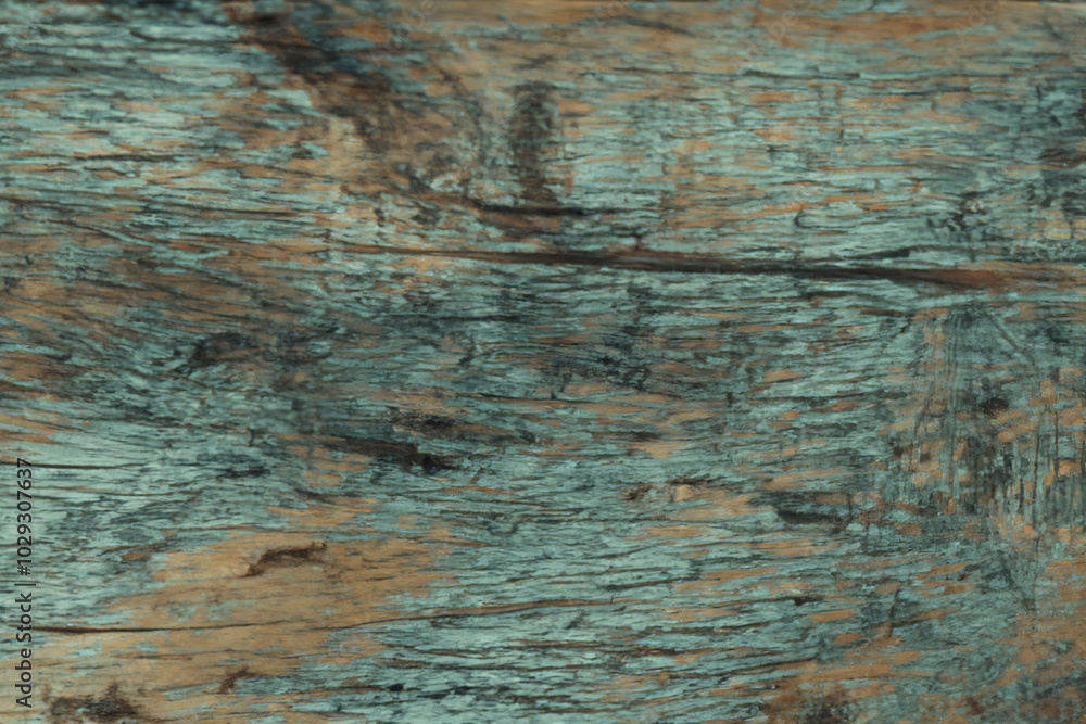 Weathered teal-tinted wood texture for rustic and vintage designs Weathered teal-tinted wood texture for rustic and vintage designs