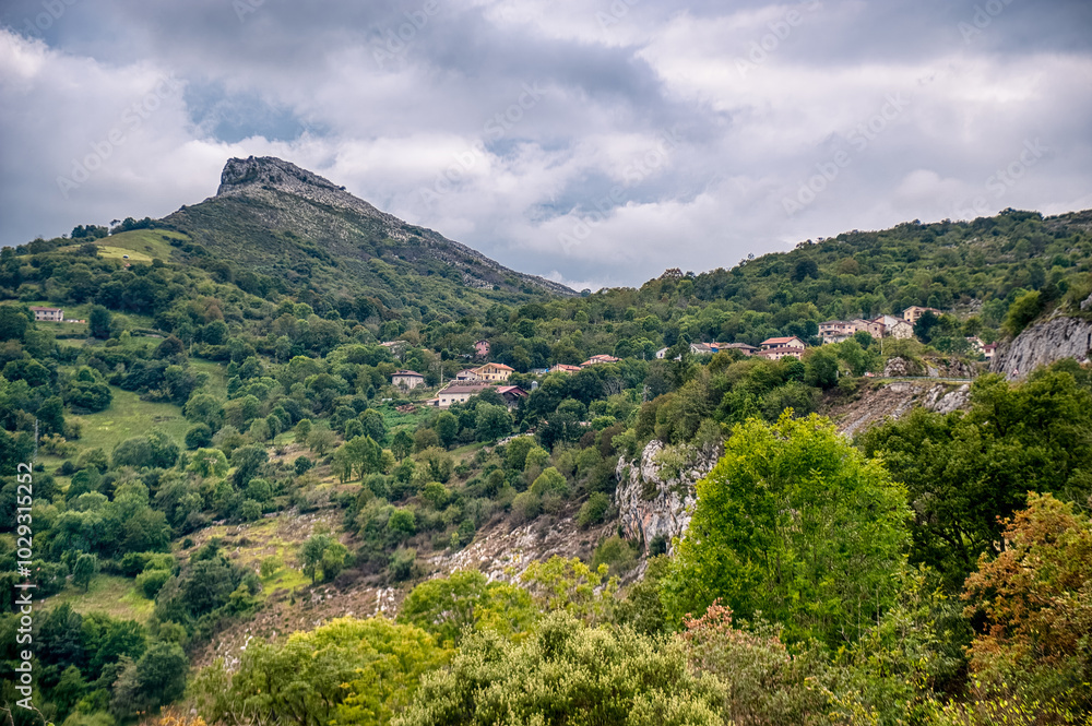 Obraz premium Cabrales is a municipality located in the east of Asturias, forming part of the Picos de Europa National Park, in the north of Spain.