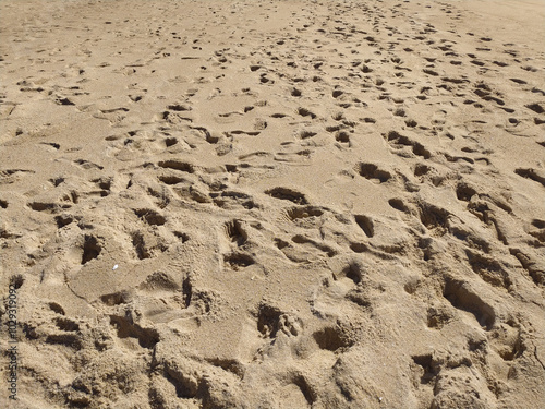 Fine golden sand covering a beach during a sunny day with clear skies, creating a serene and tranquil atmosphere for relaxation