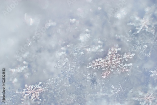 Beautiful winter background with crystalic snowflake photo