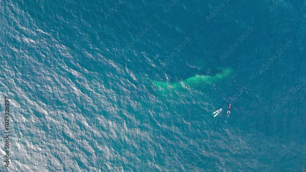 The image captures divers exploring a shipwreck submerged in the vibrant waters of Tulamben. The image captures divers exploring a shipwreck submerged in the vibrant waters of Tulamben.