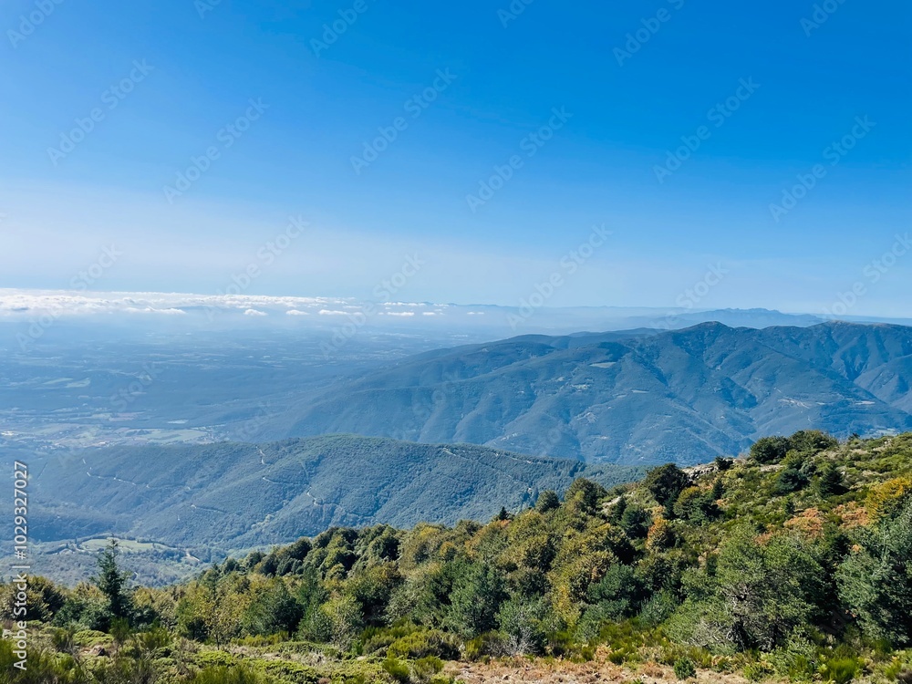 Fototapeta premium Montseny