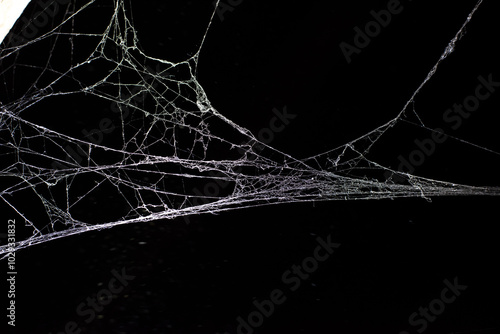 cobweb on a dark background