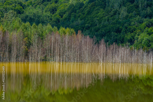 Photography nature pollution from copper mine at lake Geamana  Romania