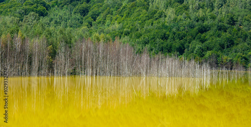 nature pollution from copper mine at lake Geamana  Romania photo