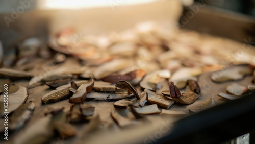 A close-up of mushrooms drying in the sun.