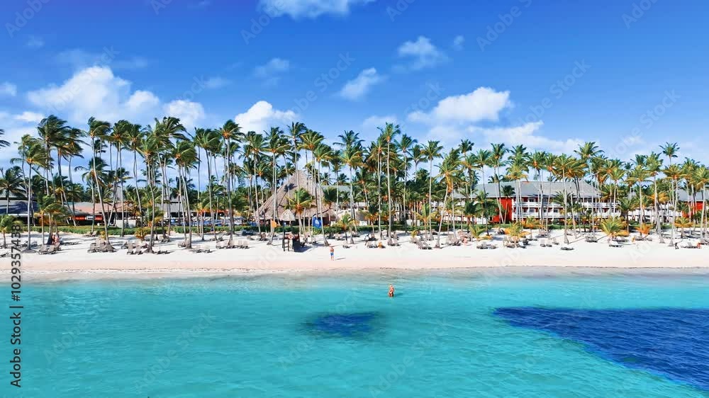 Large long wild beach with white sand and blue sea. Tall palm trees and sky. Beautiful island in Dominican Republic. Luxury vacation on a beautiful beach of Caribbean resort. Large long wild beach with white sand and blue sea. Tall palm trees and sky. Beautiful island in Dominican Republic. Luxury vacation on a beautiful beach of Caribbean resort.