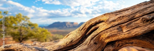 mesquite wood photo