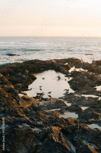the nature of the Atlantic coast in Portugal