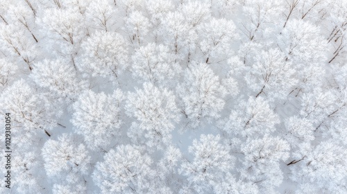 This enchanting winter forest features snow-covered trees in pastel hues, contrasting beautifully with a bright blue sky and fluffy white clouds, all seen from a bird's-eye perspective