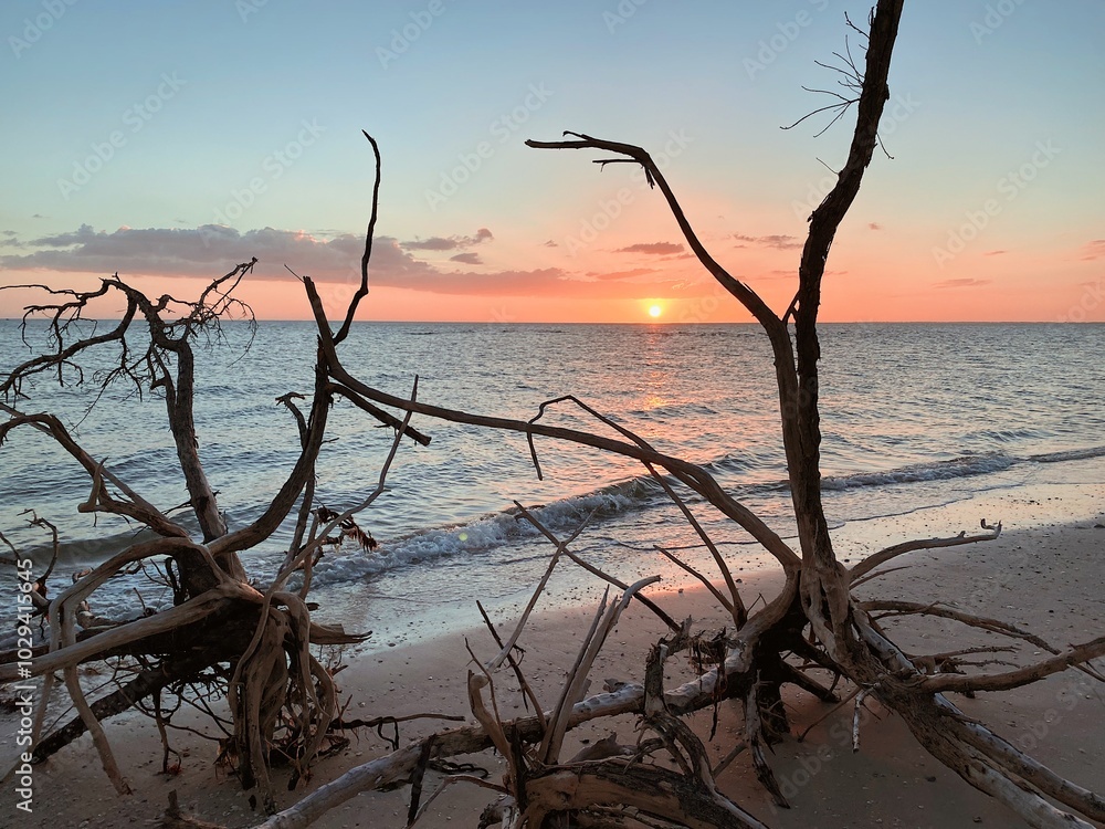 sunset on the sea