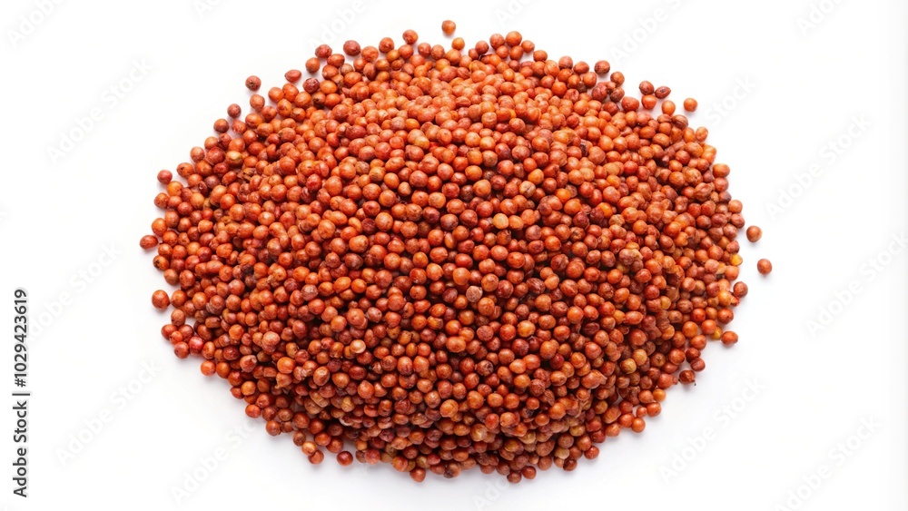red sorghum plant isolated on white background aerial view red sorghum plant isolated on white background aerial view