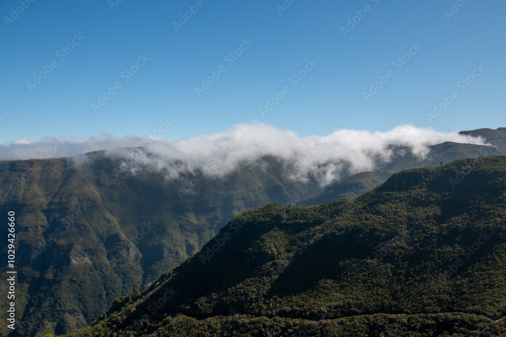 Fototapeta premium Mountains and valley in the central Madeira, Portugal