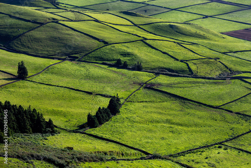 Azorean rural landscape. Small plots of agricultural land delimited by volcanic stone walls in the Azores. Late daylight. photo