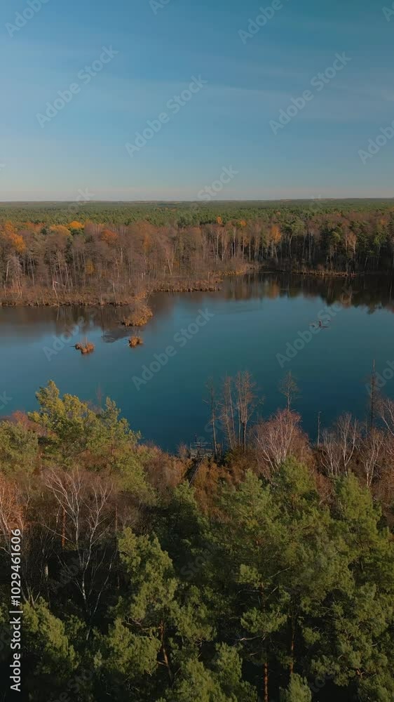 autumn in the forest, lake in autumn, reflection of trees in water, autumn in the park, autumn landscape with lake, view of the lake, Aerial footage of a drone, Panoramic view autumn in the forest, lake in autumn, reflection of trees in water, autumn in the park, autumn landscape with lake, view of the lake, Aerial footage of a drone, Panoramic view