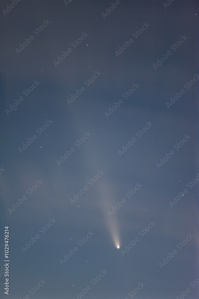 紫金山アトラス彗星 紫金山アトラス彗星