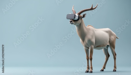 Zebu using VR glasses while standing over an isolated soft grayish blue background.