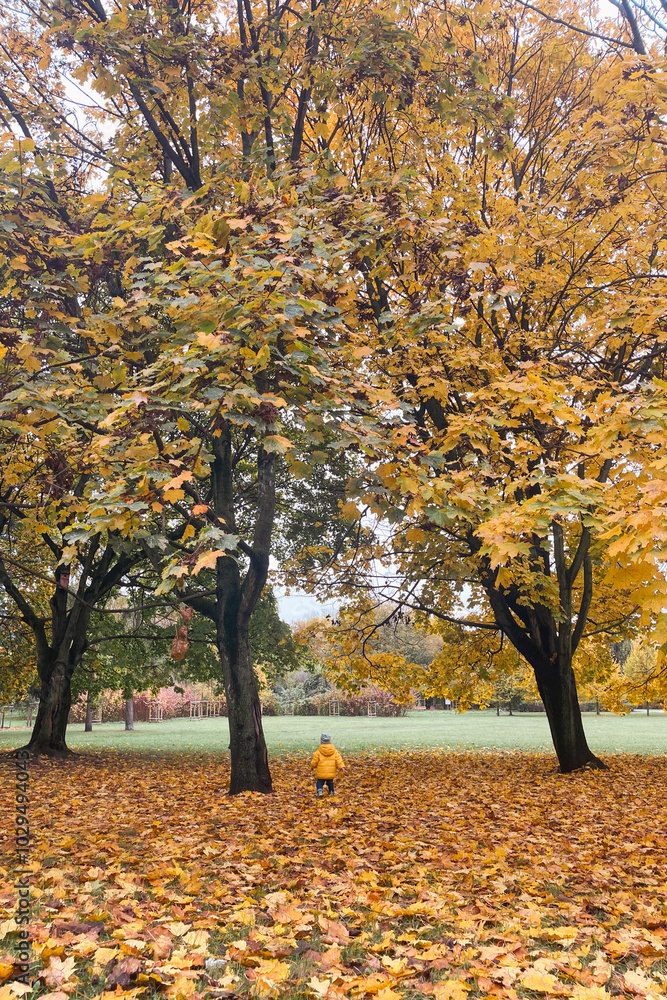 Little boy walks in the autumn park, child plays with leaves kid in yellow jacket and hat Little boy walks in the autumn park, child plays with leaves kid in yellow jacket and hat