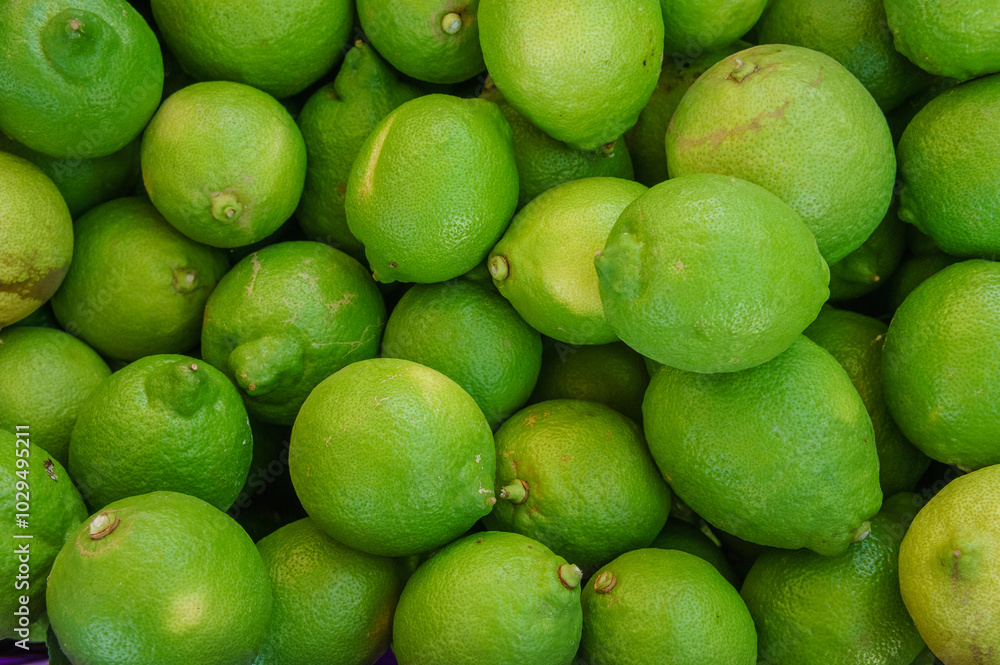 Freshly Harvested Limes Piled Together at a Vibrant Local Market in the Afternoon Sunlight, Showcasing Their Bright Green Hues Freshly Harvested Limes Piled Together at a Vibrant Local Market in the Afternoon Sunlight, Showcasing Their Bright Green Hues
