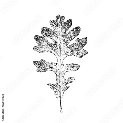 Black and white floral leaf print stamp of botanical illustration. Plain leaf sketched art on plain white background.