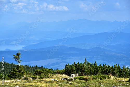 Fototapeta Naklejka Na Ścianę i Meble -  grassy top of Pilsko mountain and view of Beskidy and Tatra mountains