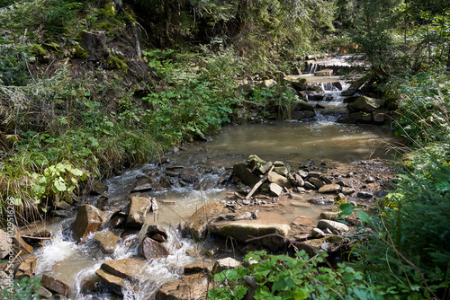Fototapeta Naklejka Na Ścianę i Meble -  stream with stones and boulders in a coniferous forest in the Beskidy mountains