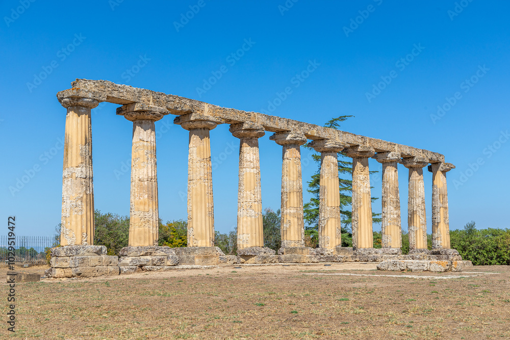 Temple des Tavole Palatine, Metaponto, Italie Temple des Tavole Palatine, Metaponto, Italie