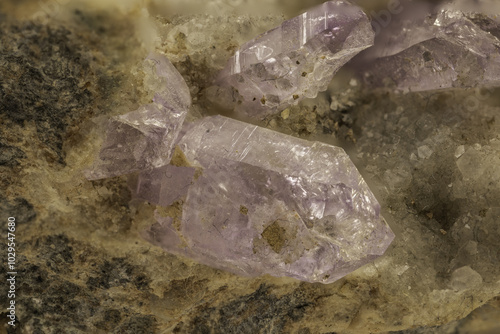 A close-up view of small, raw amethyst crystals with a translucent purple hue, intricately embedded in their natural rocky matrix, revealing geological wonder photo