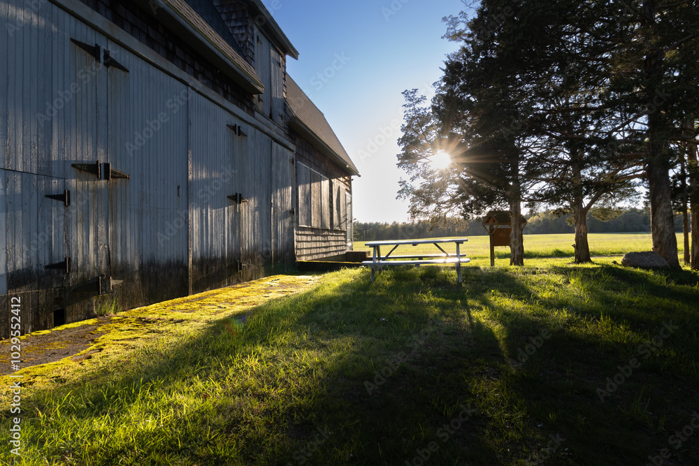 Old barn in Betty's field. Old barn in Betty's field.
