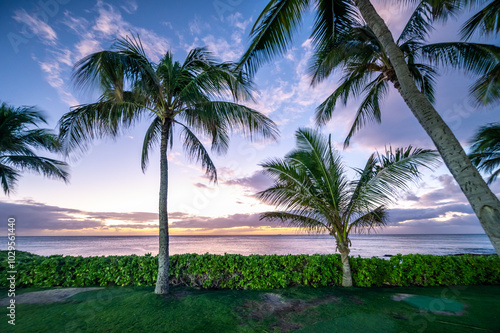 The sun sets over the ocean, casting vibrant colors across the sky. Silhouetted palm trees enhance the tropical atmosphere near the water.