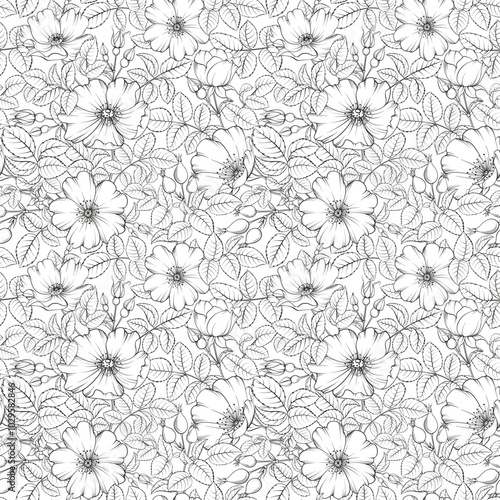 Black floral pattern with Rose. Botanical rosehip