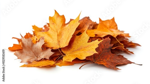 Pile of autumn leaves in shades of orange, yellow, and brown, embodying the beauty of fall foliage.