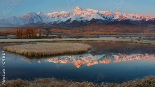Experience the serene beauty of Mountain Altai captured by drone in late autumn. Snow capped peaks and golden trees reflect perfectly in calm water, showcasing nature stunning colors and tranquility