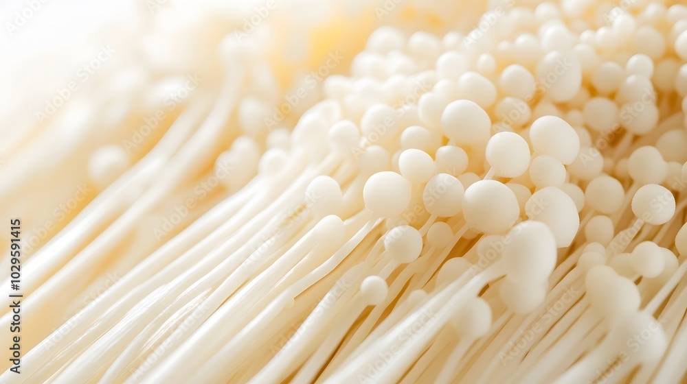 Close-up of White Enoki Mushrooms with Rounded Caps Close-up of White Enoki Mushrooms with Rounded Caps