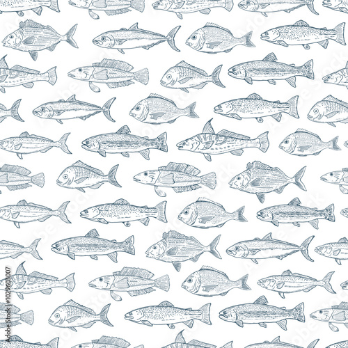 Ocean fish seamless stripe vector