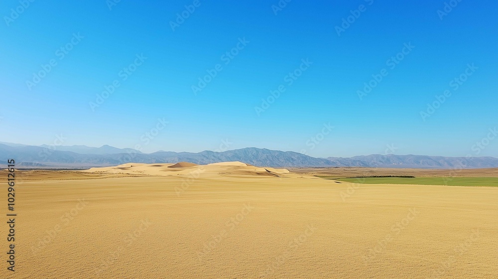 Vast desert landscape, golden sand dunes, clear blue sky, distant mountains on the horizon
Vast desert landscape, golden sand dunes, clear blue sky, distant mountains on the horizon