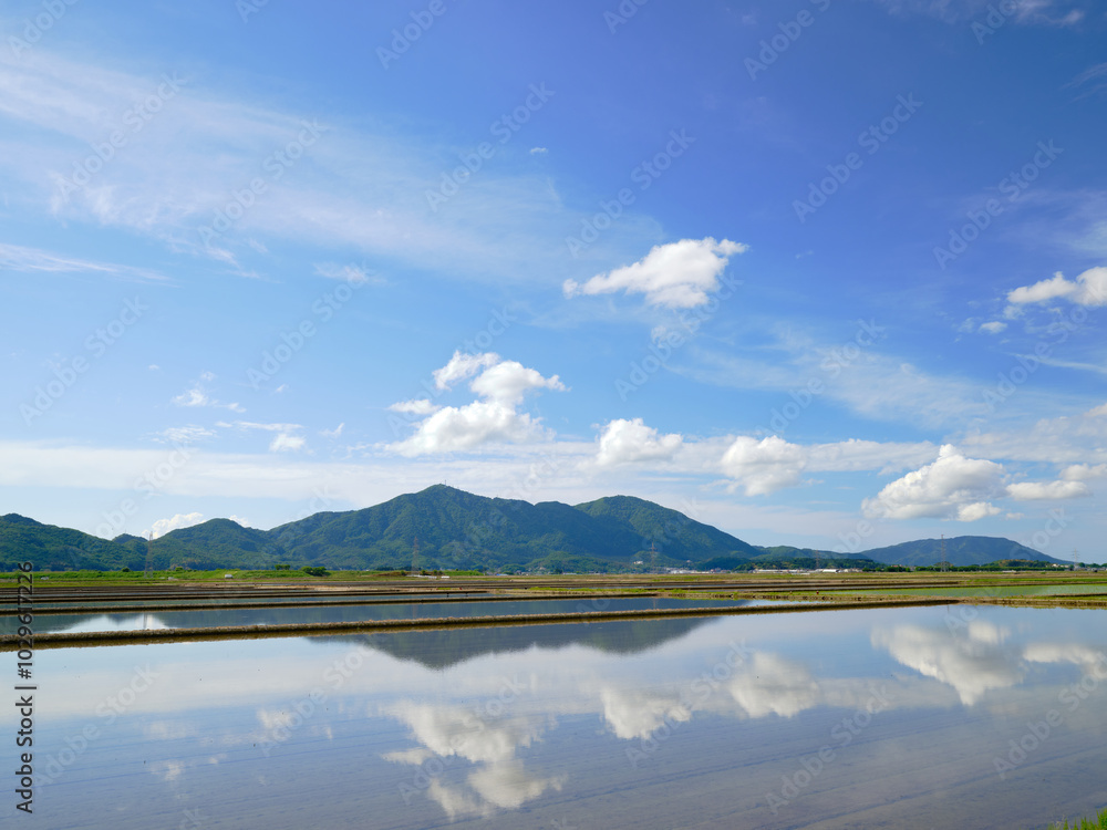 Obraz premium Flooded rice fields and mountains before rice planting