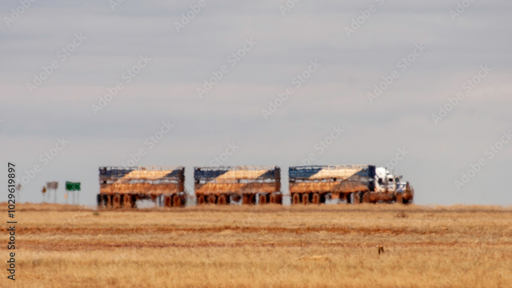 Cattle Road Train, seen through heat haze, outback Queensland Australia Cattle Road Train, seen through heat haze, outback Queensland Australia