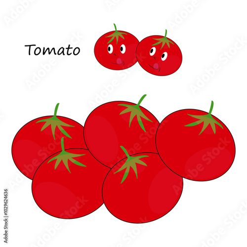 Plantilla Tomates vectorial 2500x 2500. JPG y PNG. Vector de Tomates. Diseño, dibujo de tomates 