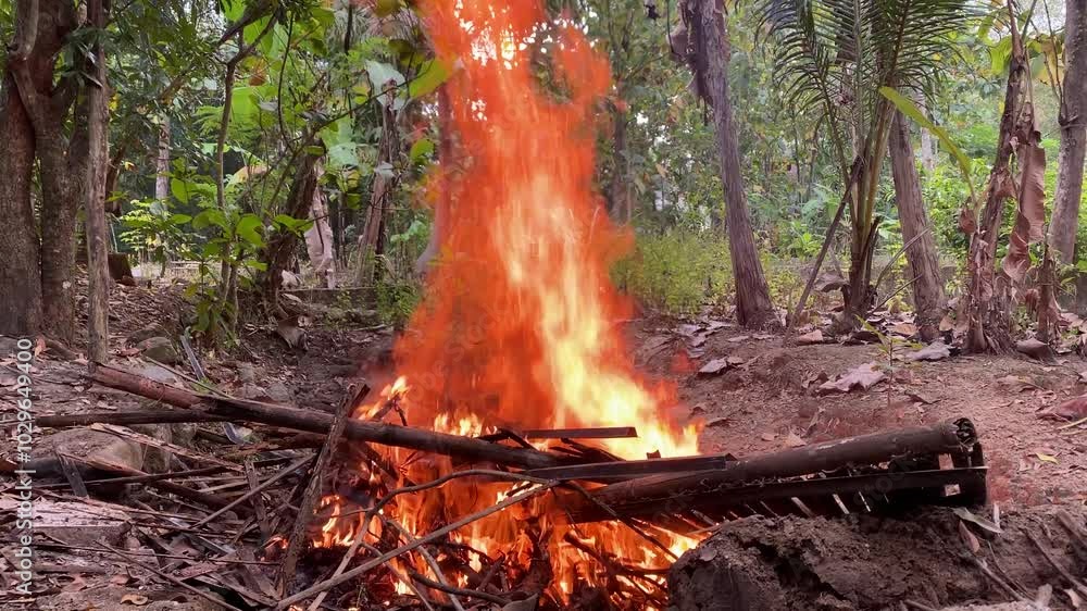 The fire was burning piles of wood and bamboo sticks in the forest The fire was burning piles of wood and bamboo sticks in the forest