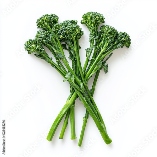 broccolini on white background studio photograph photo