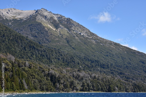 Big mountain and forest
