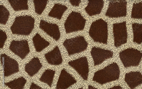 leopard fur texture