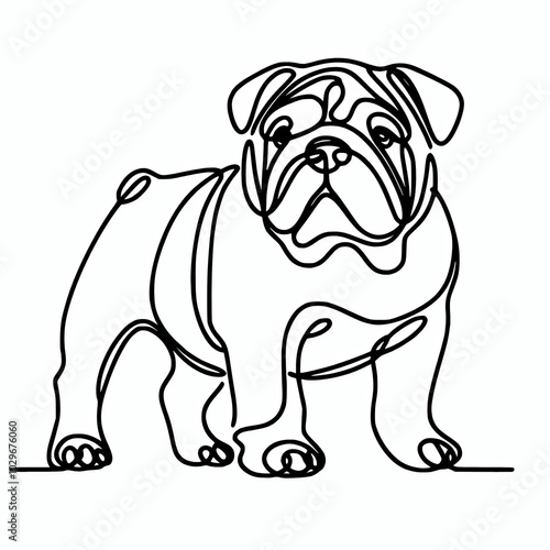 English bulldog sketch line art drawing illustration, bulldog outline silhouette element design