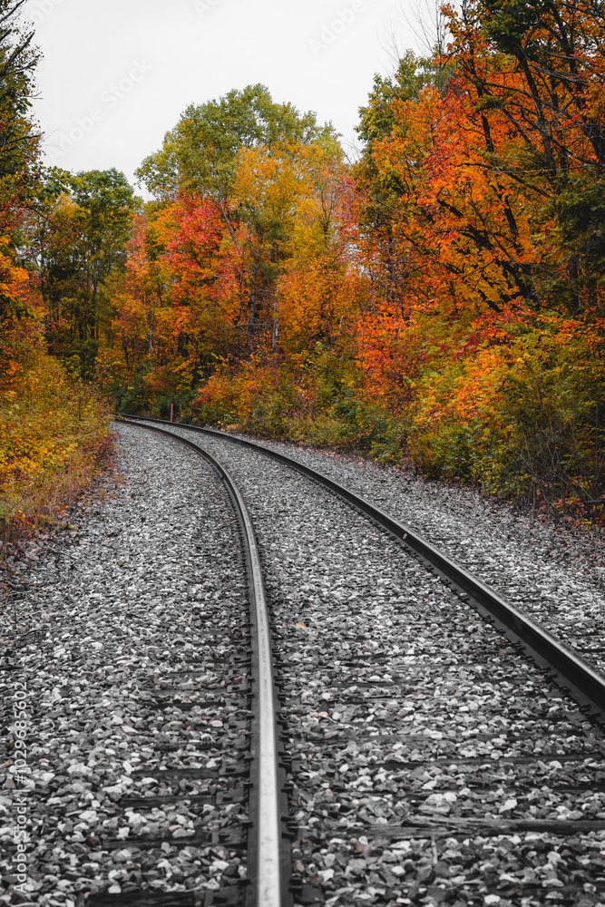 Scenic Fall Foliage Train Tracks in New England USA. Vermont Forest Scenic Train Ride Railroad Travel Tourism Remote Off the Grid Adventure Scenic Fall Foliage Train Tracks in New England USA. Vermont Forest Scenic Train Ride Railroad Travel Tourism Remote Off the Grid Adventure