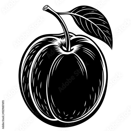 illustration of plums silhouette 
