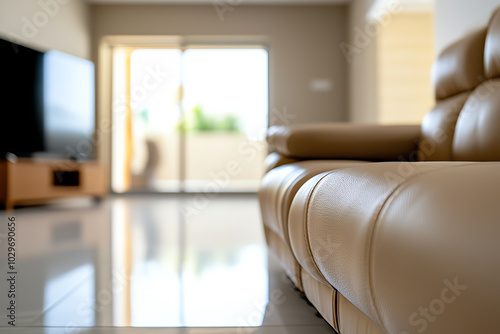 Modern living room with leather sofa.