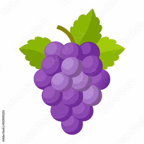 Grape 