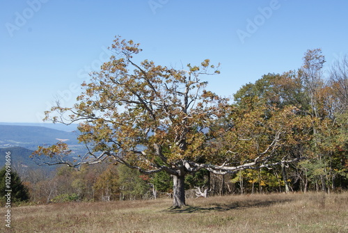 beautiful appalachia photo