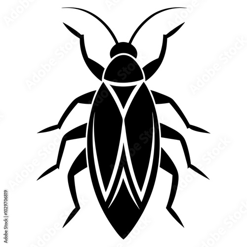 Cockroach High Quality Illustrations and Images for Pest Control and Educational Projects